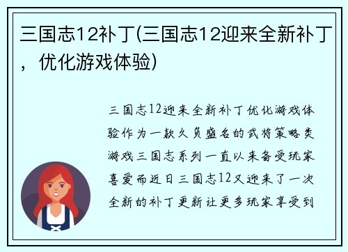 三国志12补丁(三国志12迎来全新补丁，优化游戏体验)